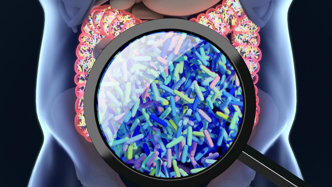 Scientific illustration of gut bacteria