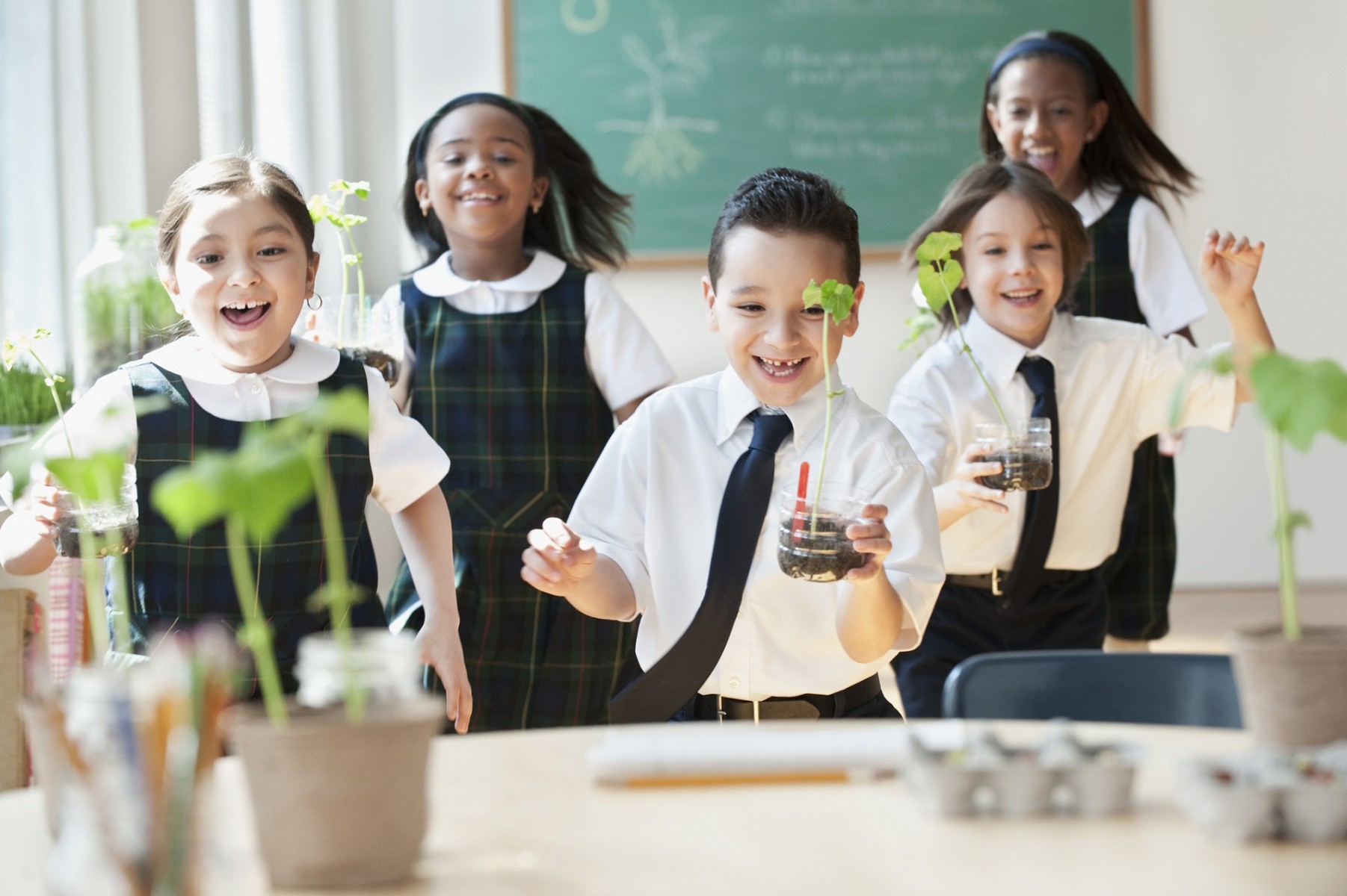 school children in uniform with a house plant